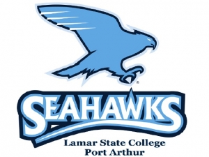 lamar_state2