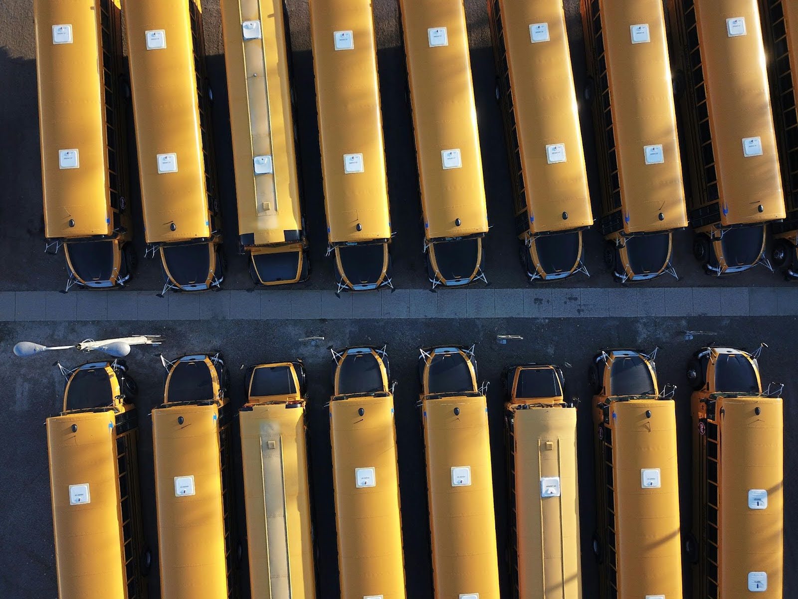 Fleet of school buses