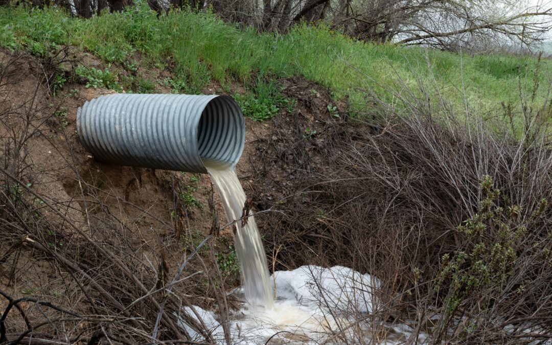 Liberty Hill approves design contract for planned North Fork Wastewater Treatment Plant