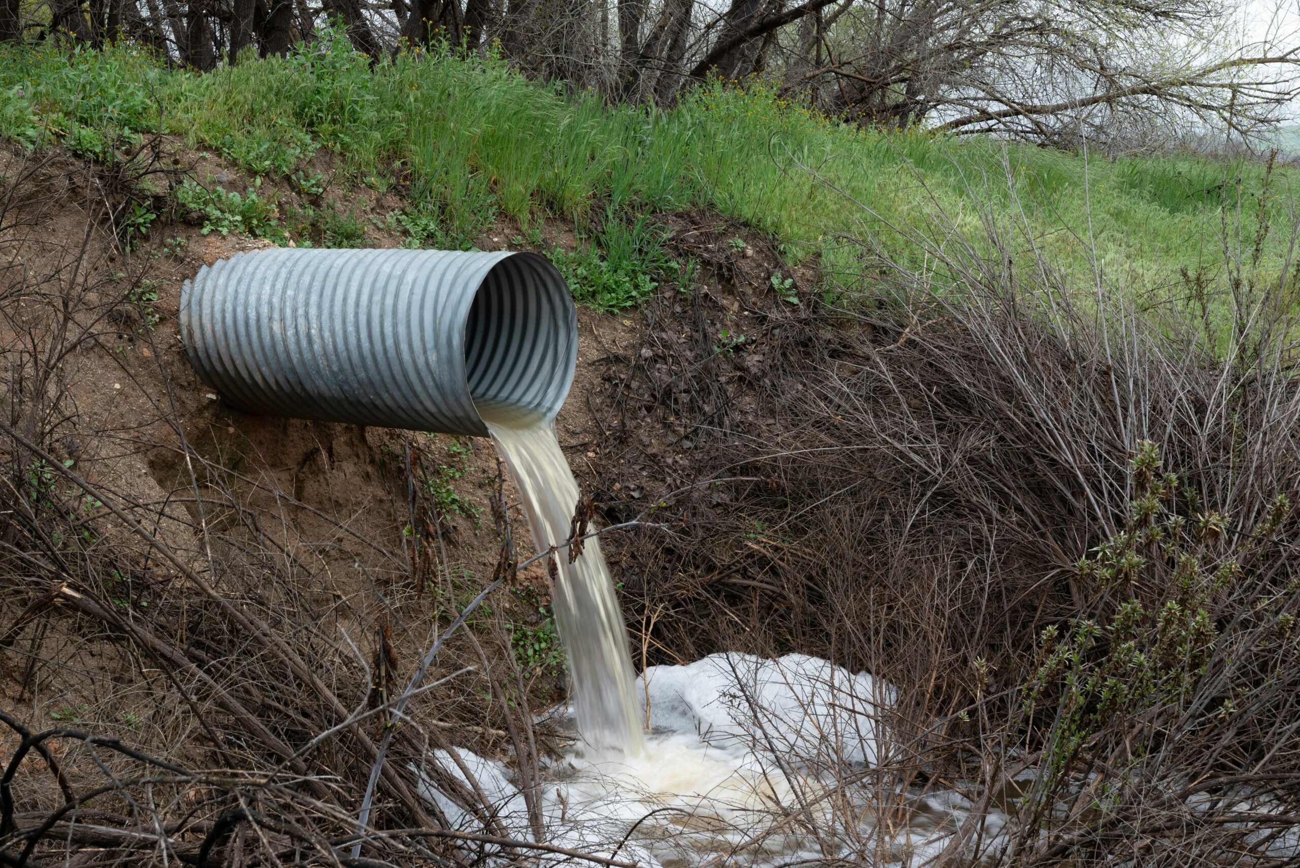 A pipe pours water into a waterbed near grass and trees.