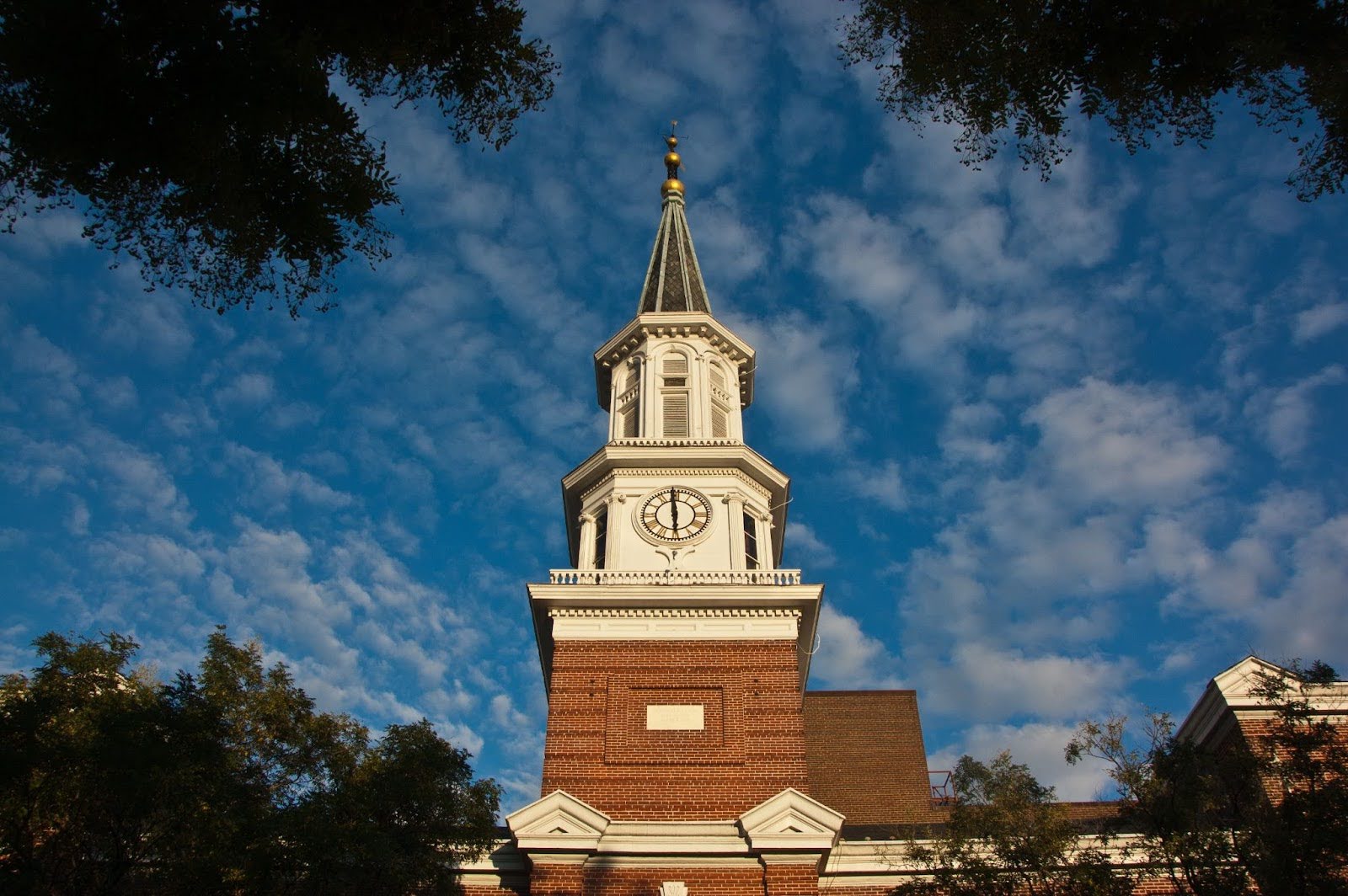 Alexandria city hall
