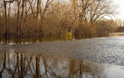 FEMA provides updated disaster recovery timelines for Central Texas communities