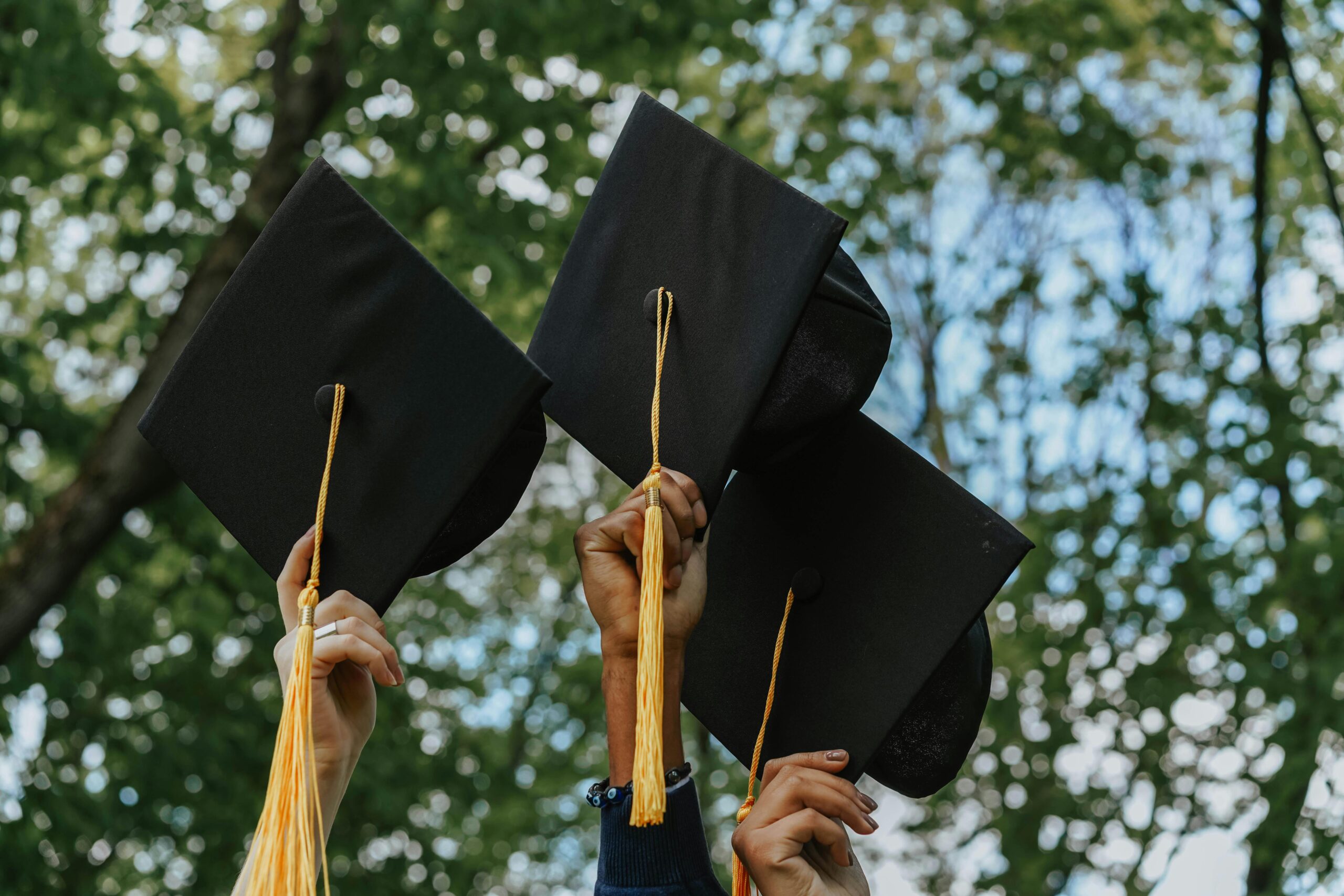 College graduates raise their caps together before a green tree.