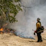 A firefighter observes a wildfire in the making in brush.