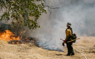 FEMA at a Crossroads… What Americans Need to Know