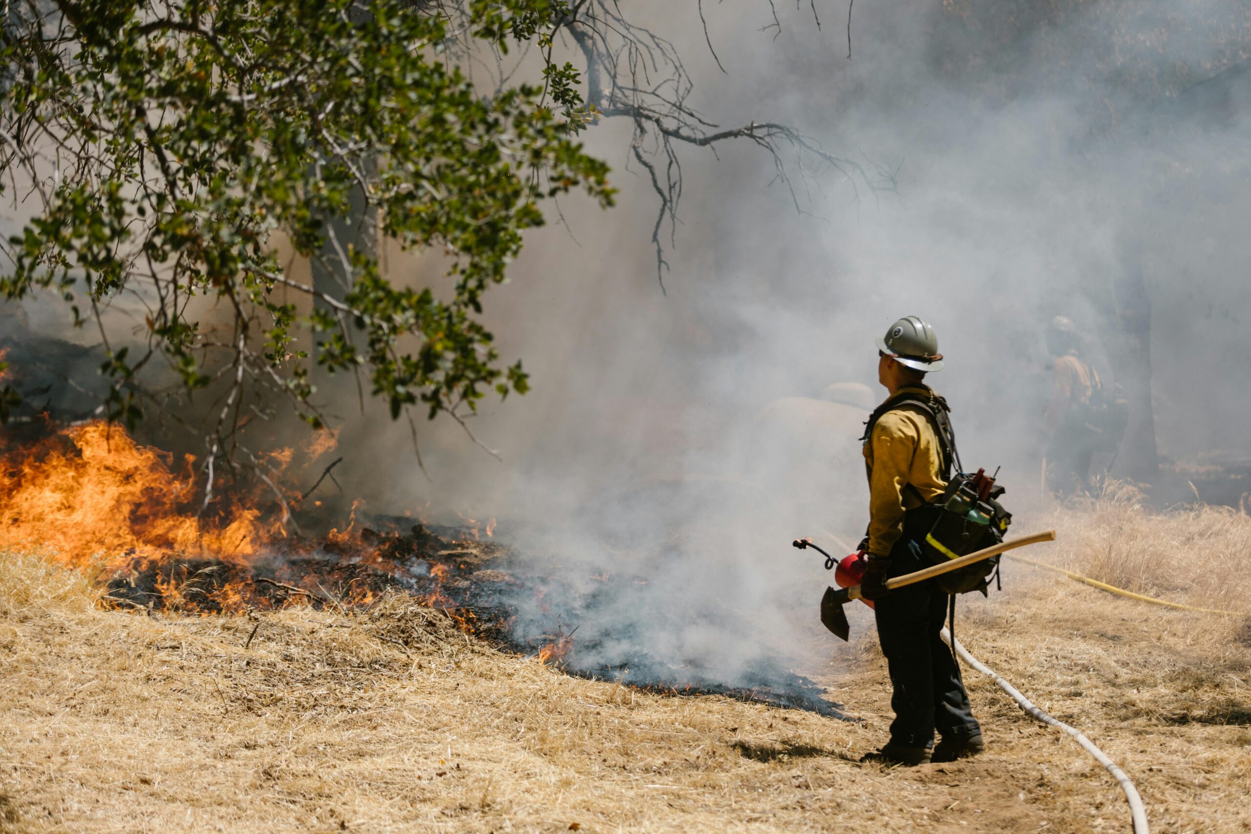 A firefighter observes a wildfire in the making in brush.