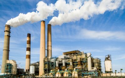 UH carbon capture innovations show promise for clean energy future
