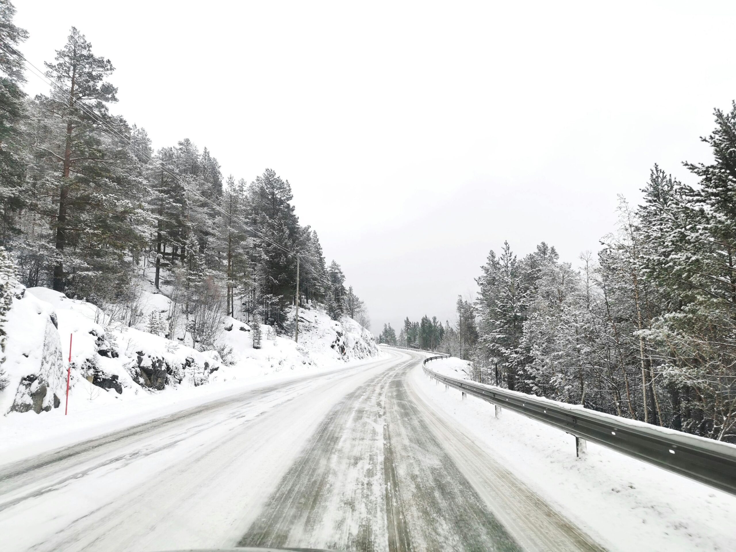 A snowy road with trees along the embankment.