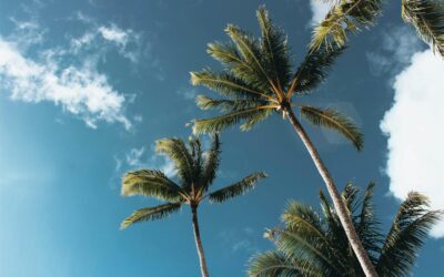 Cape Coral approves $1.4B budget tackling rapid growth