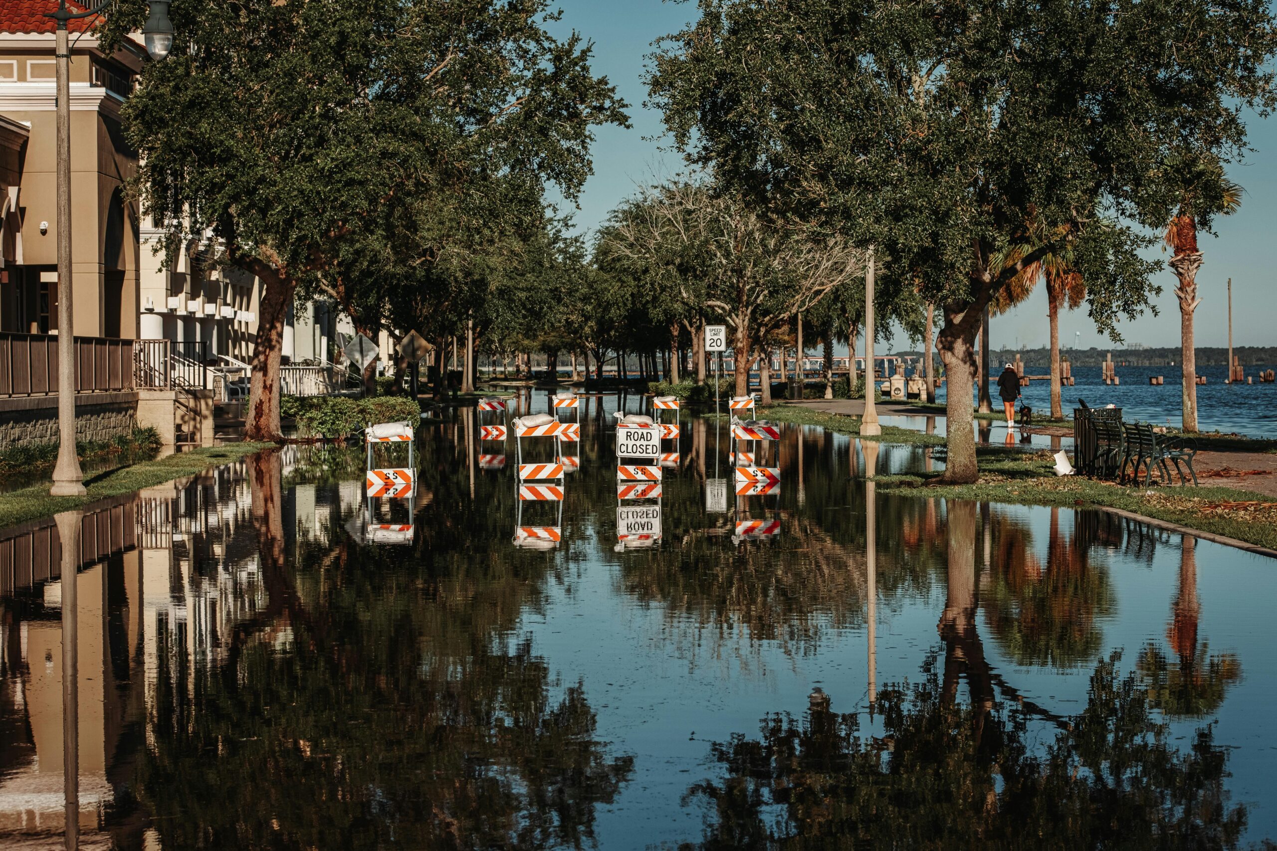 A flooded street with barriers and trees.