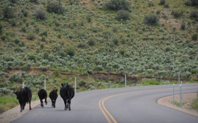 UDOT maps plan for $760M Heber Valley bypass
