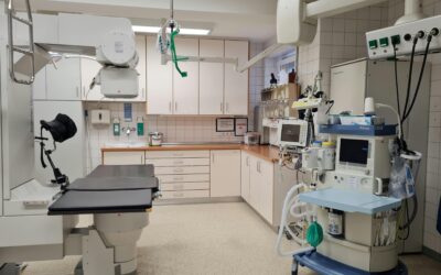 Texas opens $44M rural hospital stabilization grant program