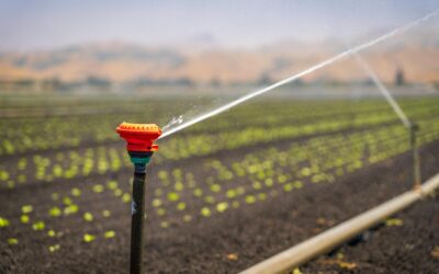 Pflugerville sells $80M in bonds to fund water system upgrades