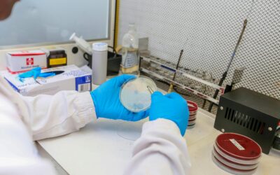 UTSW receives $25M to advance 3D liver printing technology research