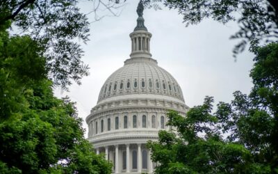 GSA’s expanded OASIS+ program offers opportunities for small businesses