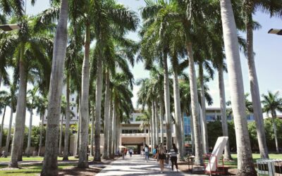 FSU plans $374M campus expansion with new housing, dining and parking