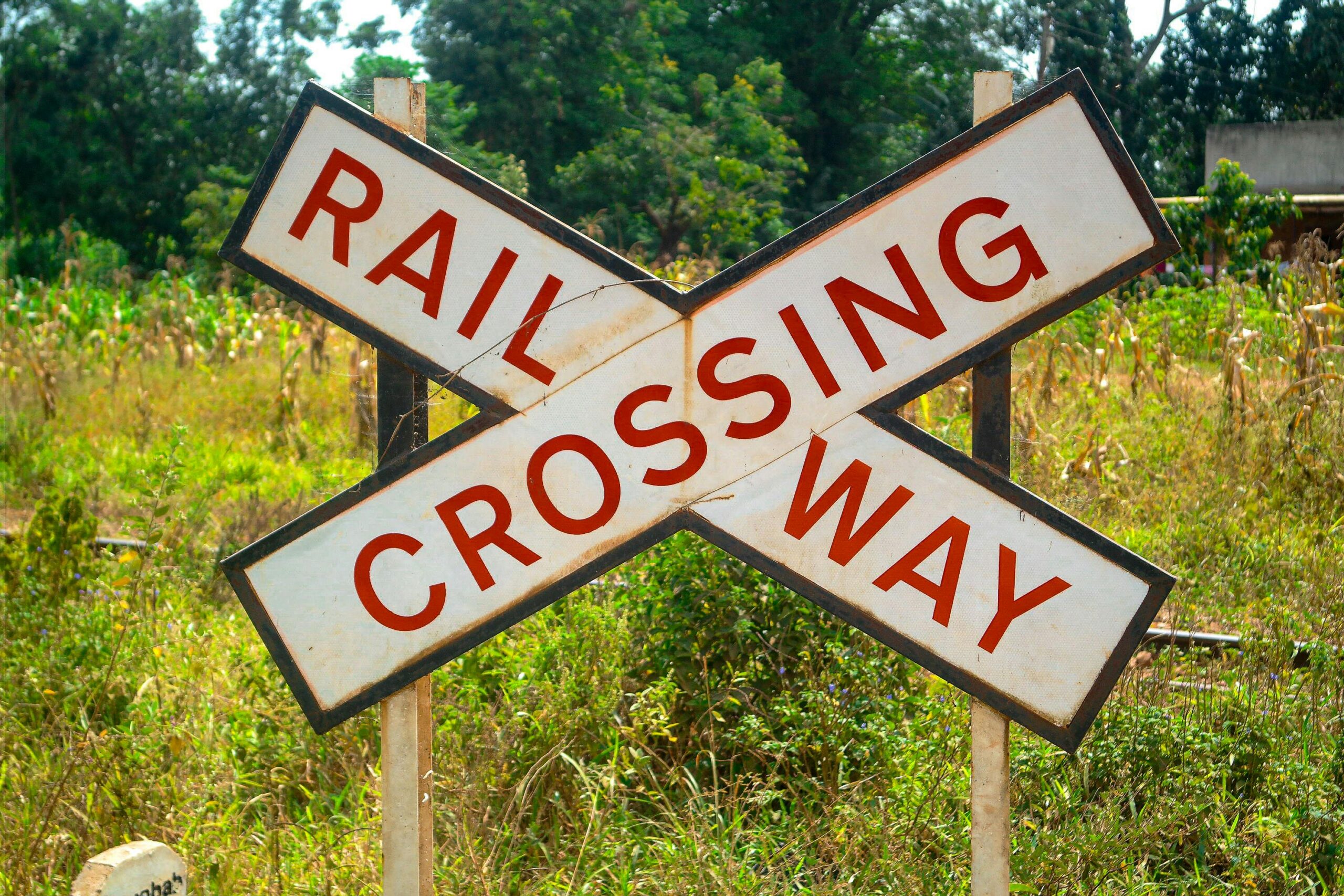 pexels-frostee-lens-ug-2150016714-35134287 A railway crossing sign before greenery.
