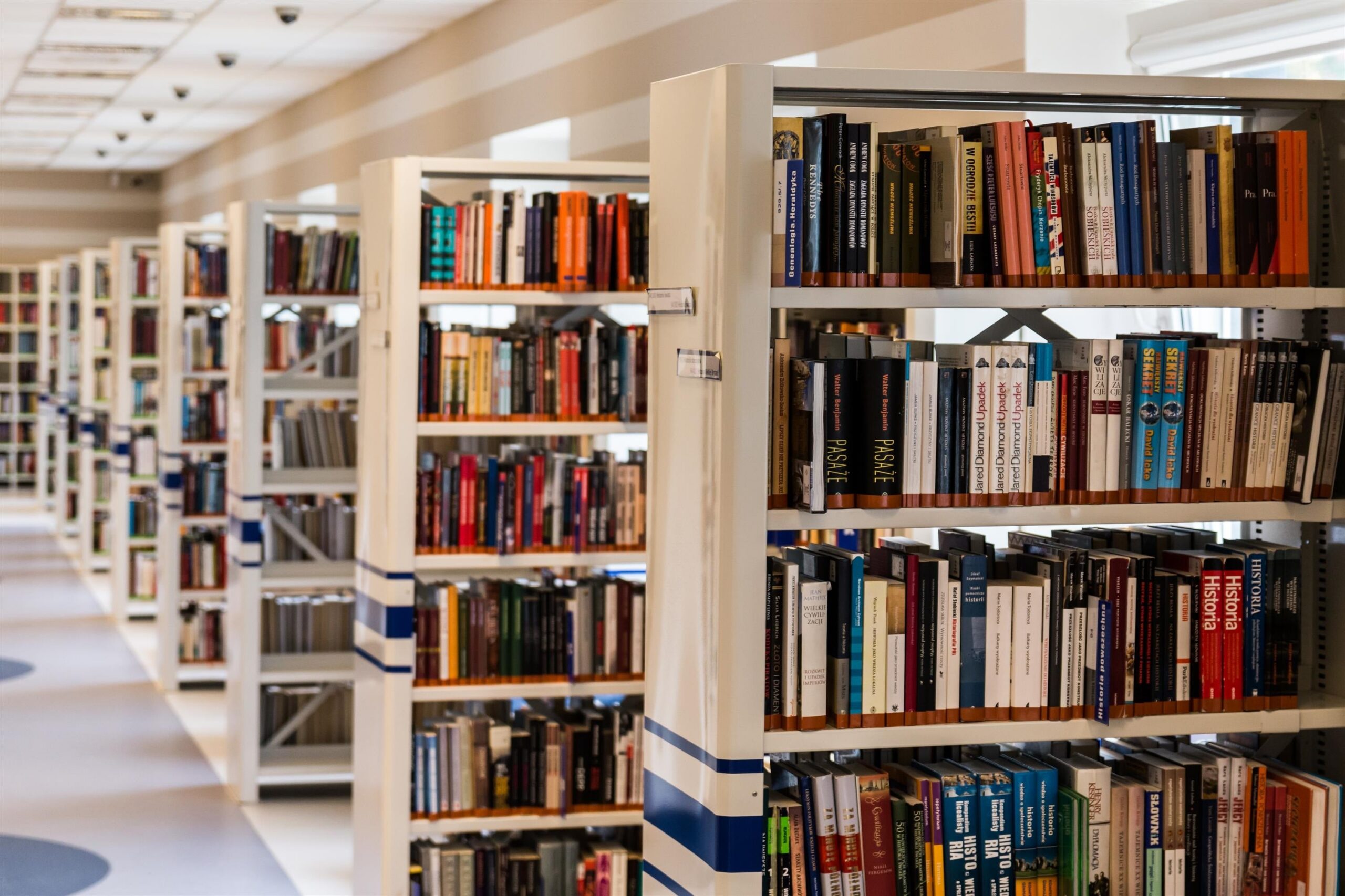 jarmoluk-library-488690 (1)