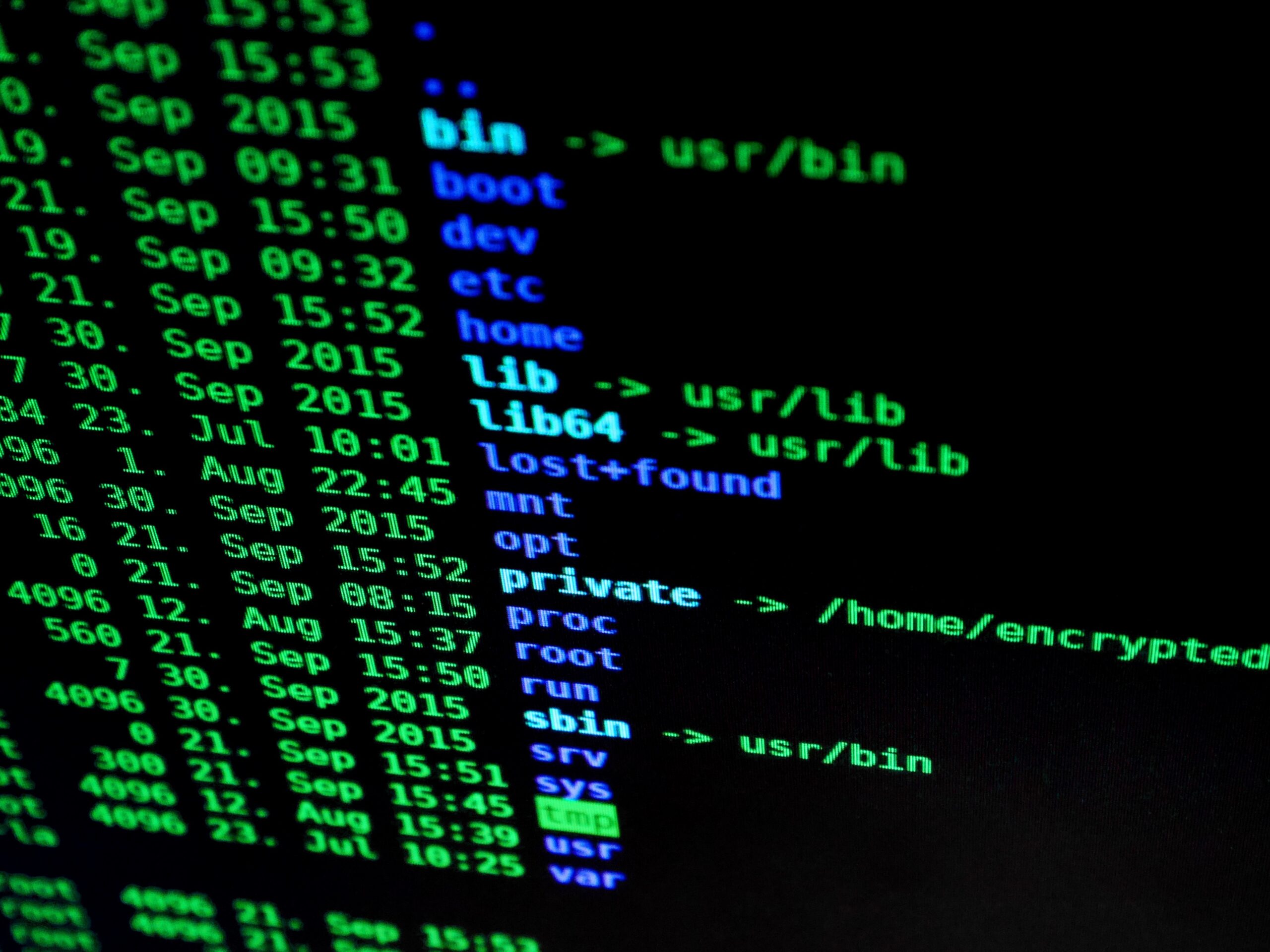 joffi-hacking-1685092