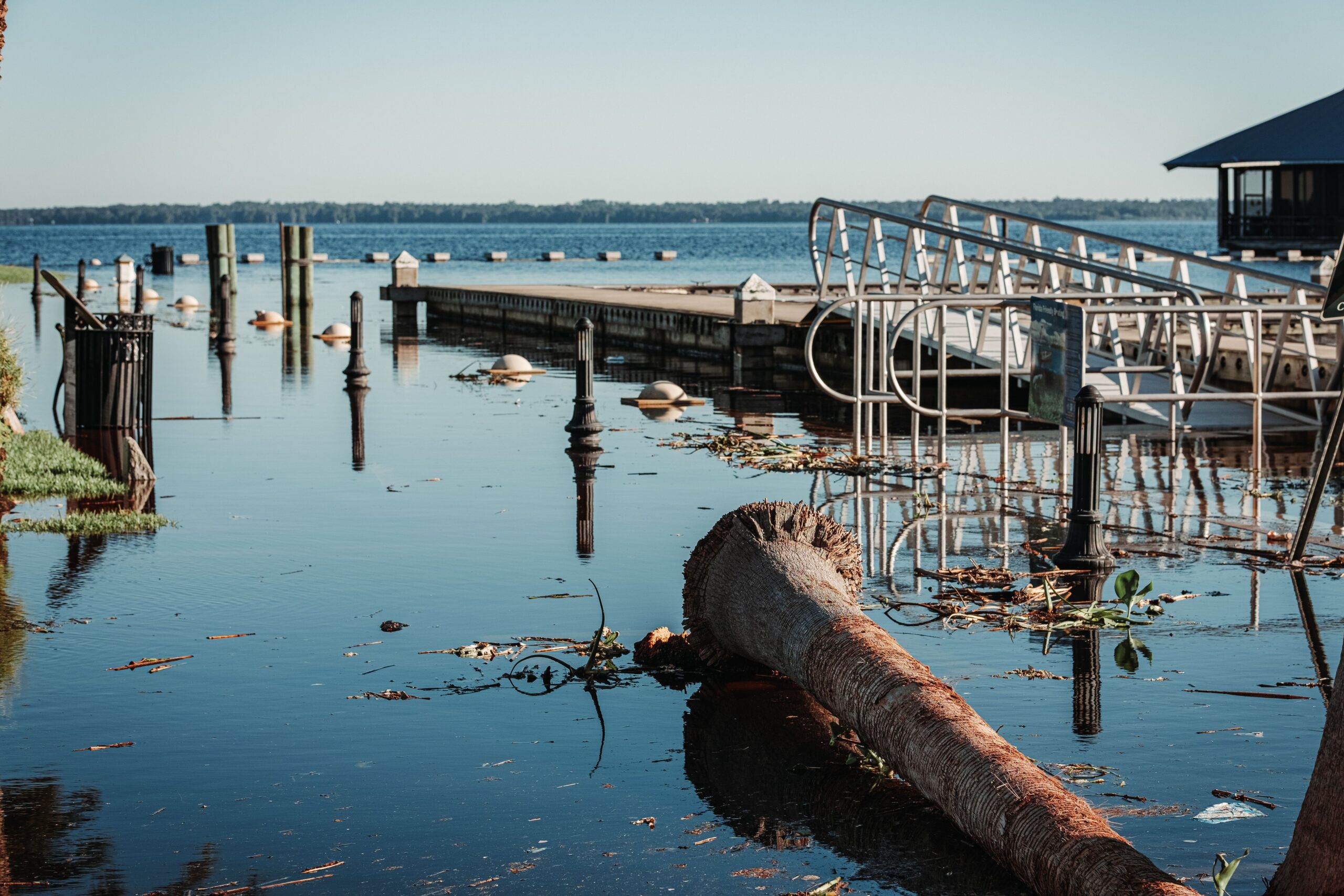 pexels-connorscottmcmanus-13865776