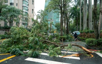 FEMA allocates $349M to help states recover from, prepare for disasters