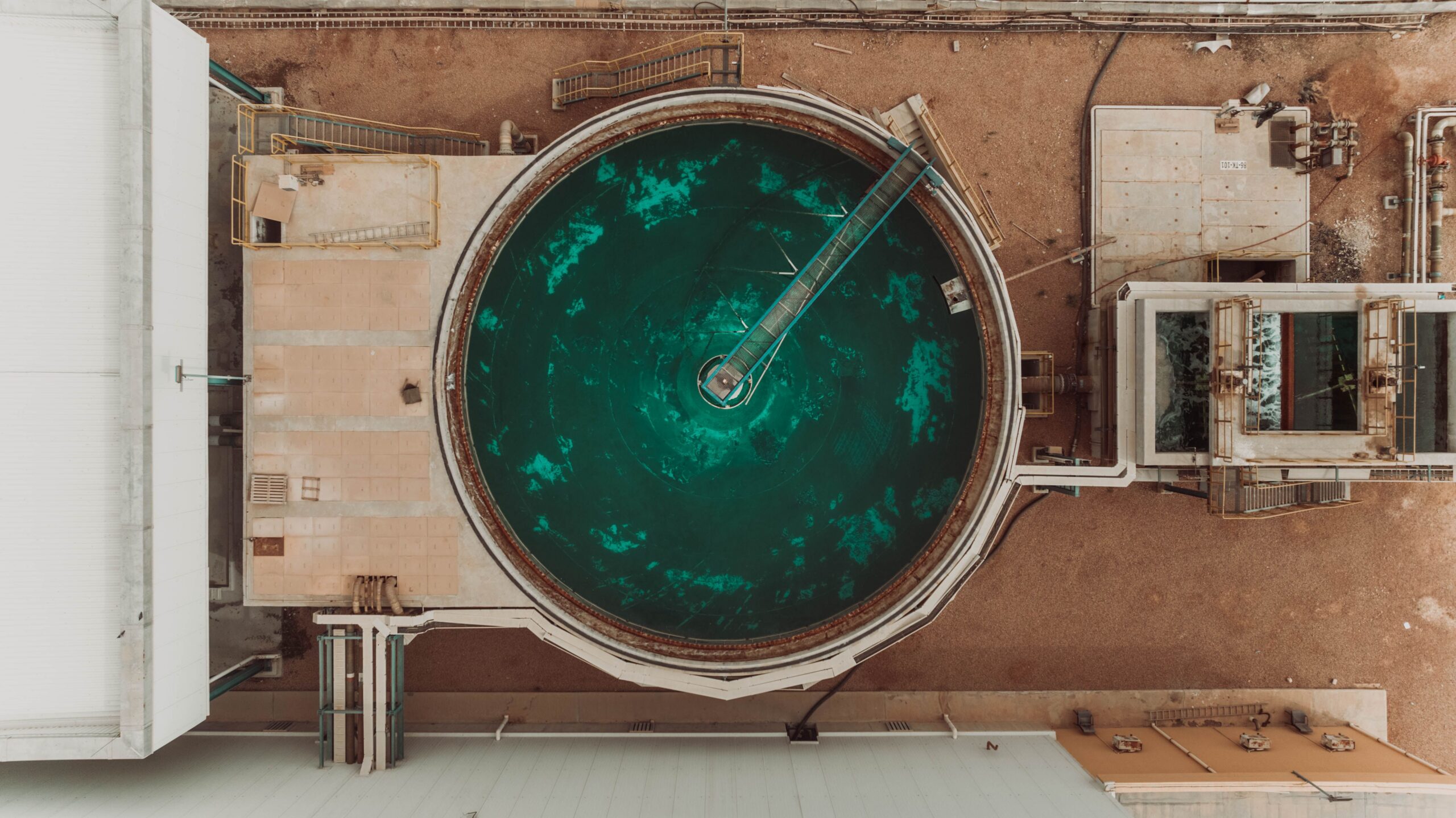 pexels-alshreef-24802113 Water plant