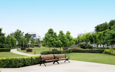 Austin voters to consider $295M parks, library bond package