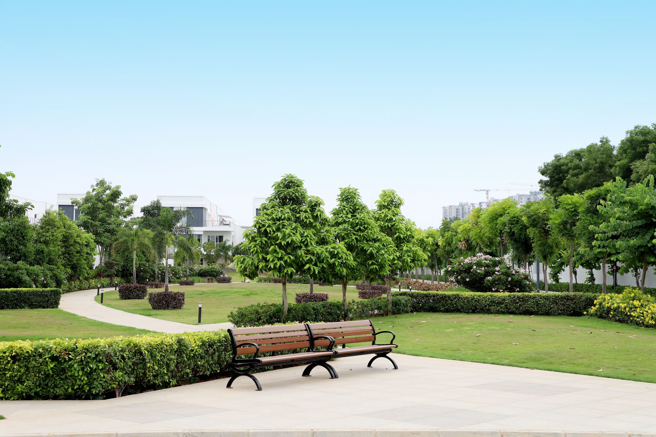 pexels-dropshado-32543167 Park
