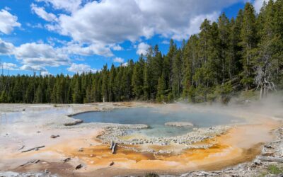 Yellowstone plans $268M reconstruction of Northeast Entrance Road