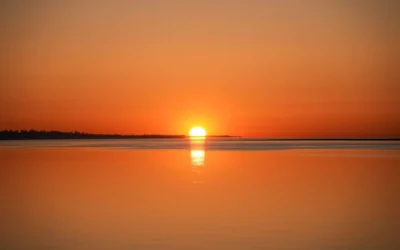 Oregon, Illinois release statewide resilience, climate plans