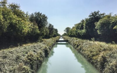 Texas awards $69.5M for Rio Grande Valley canal projects
