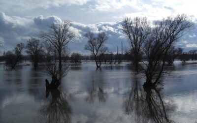 Texas weighs appeal of FEMA flood aid denial as reforms advance