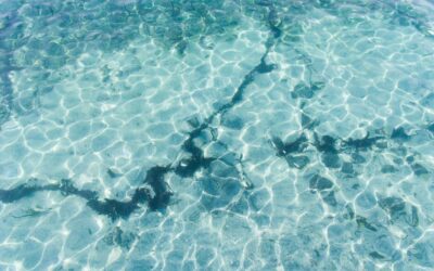 East Texas Water Institute launches to address regional water needs