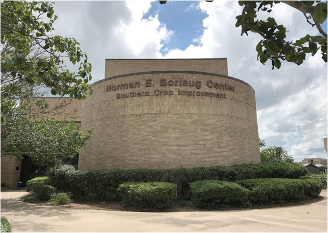 Borlaug Center Texas A&M planning $49M renovation of Borlaug Crop Improvement Center