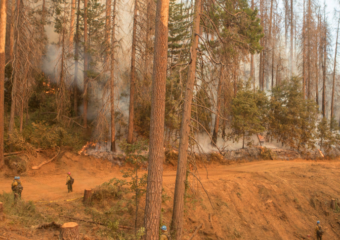 CO wildfire 340x240 Western states to get federal wildfire risk reduction funding