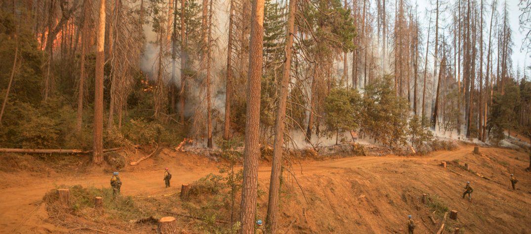 Western states to get federal wildfire risk reduction funding