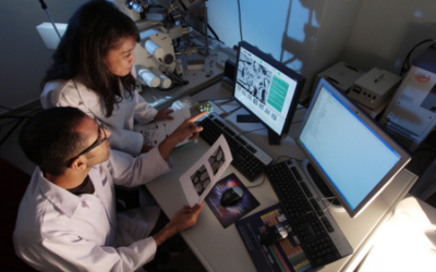 Research and tech take center stage in upcoming public investments