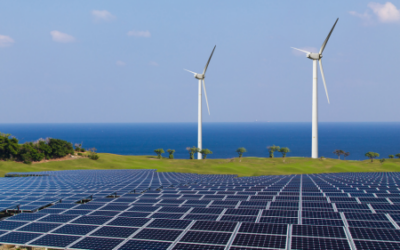 Renewable Energy Projects Surge at State & Local Levels