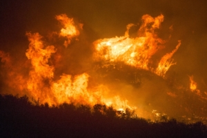 Los Padres wildfire 300x200 Funding is slow but always available for disaster recovery projects