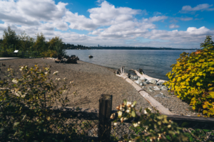 Mercer Island park2 300x200 Bounty of large parks projects available to contractors