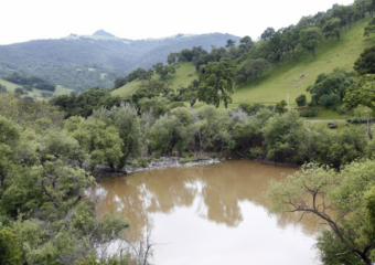 North Fork Pacheco Creek dam 340x240 Water utility planning $1B dam, reservoir to serve Silicon Valley