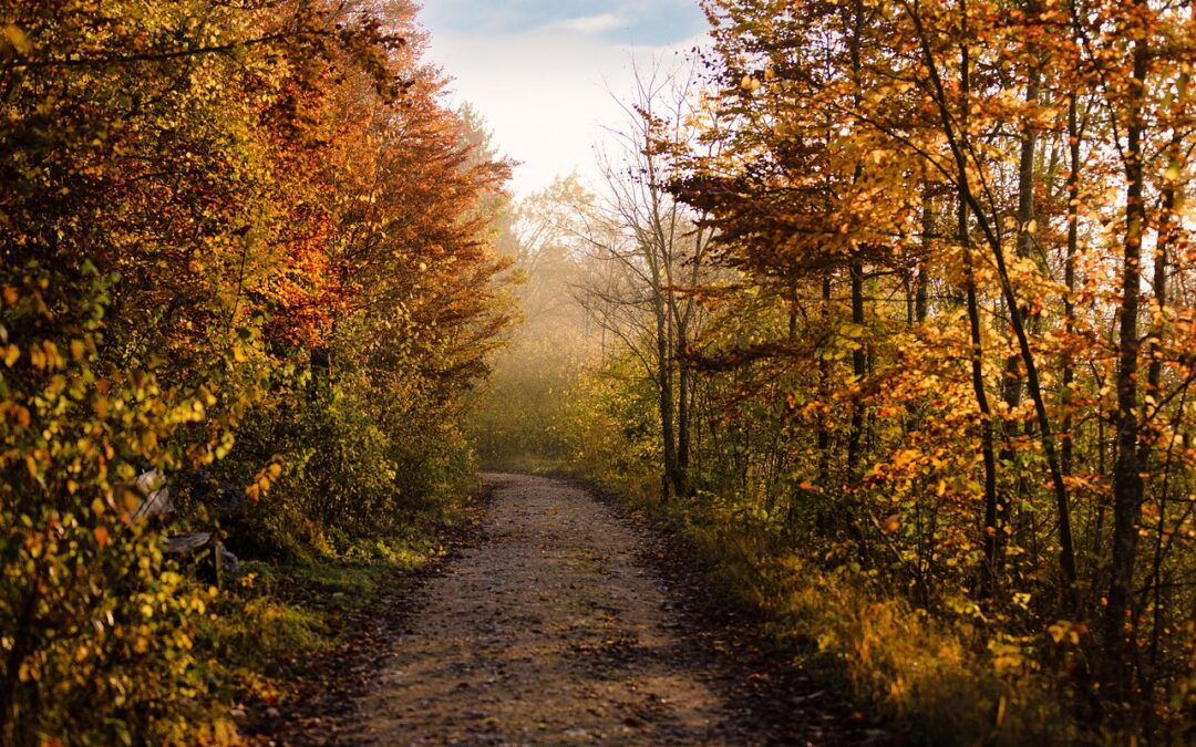 Texas Parks and Wildlife awarding millions for trail construction, maintenance