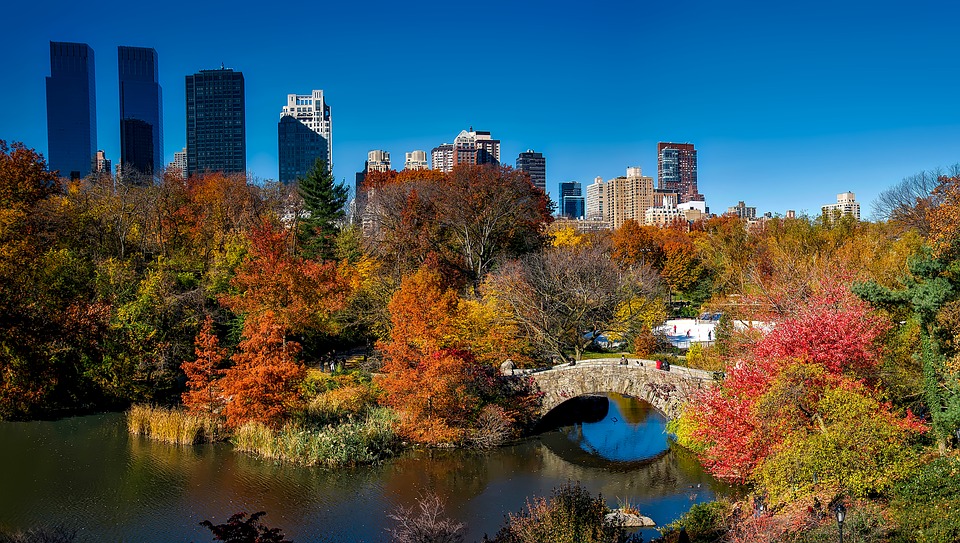 central park 1804588 960 720 Urban Park upgrades will result in thousands of new contracting opportunities in 2019