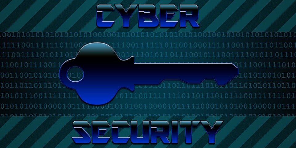 Cybercrimes continue and the cost of protecting data is a high-ticket item for government – and also for private-sector firms
