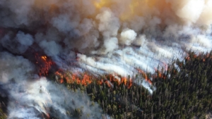 forest fire 300x169 Government leaders seek private sector assistance to combat climate change