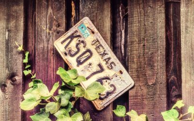 Metal License Plates to Replace Temporary Paper Tags in Texas