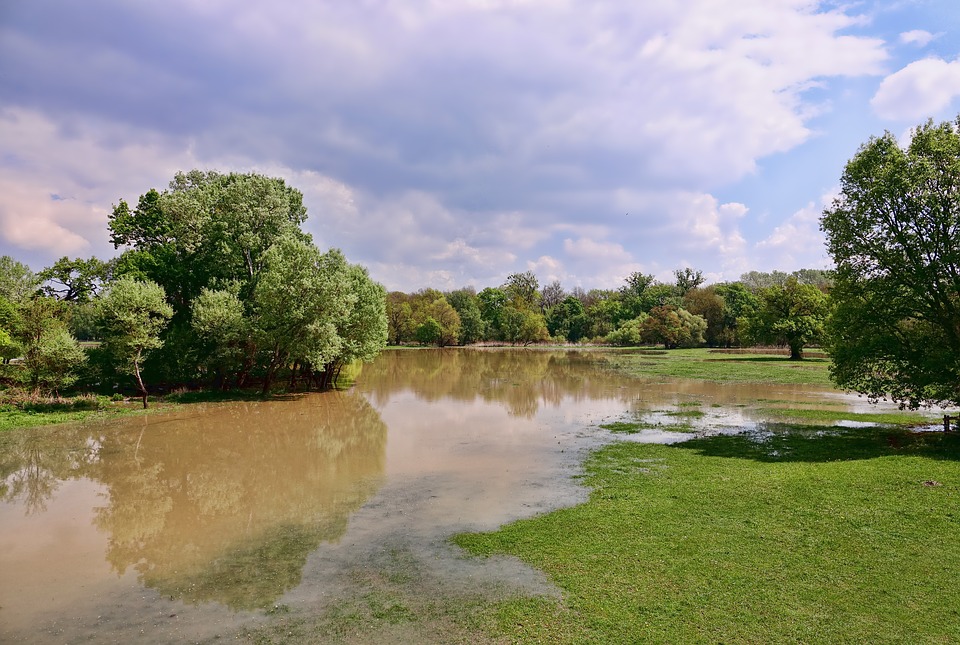 tree flood TWDB chooses voting members for regional flood planning groups