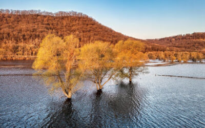USGS deploys water monitoring crews amid rising flood threats in Texas